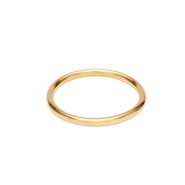 Pico Ray Bangle 6mm - FG Goldplated 65cm